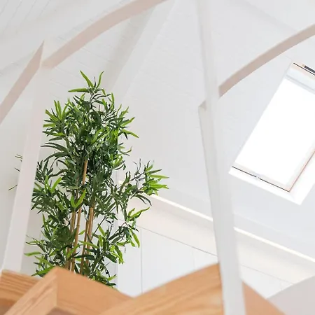 Hiddengem - Cotton Strings * Porto