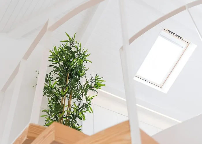 Hiddengem - Cotton Strings * Πόρτο